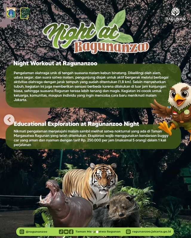 Ragunan malam.